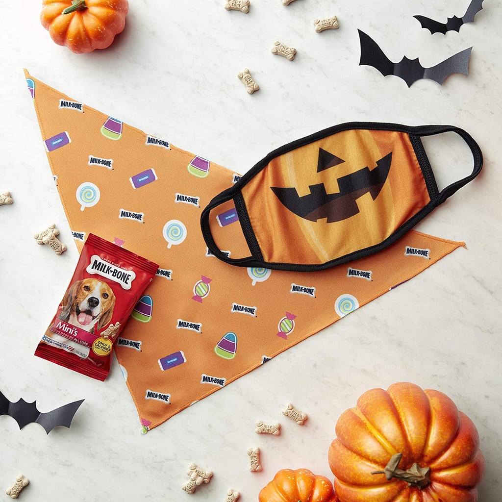 Milk-Bone Halloween Face Mask and Dog Bandana — Pumpkin & Candy Print Set For Big Dogs
