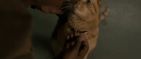 Nick fury holding goose pop top