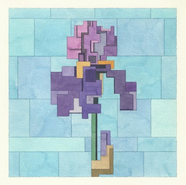 Purple Iris