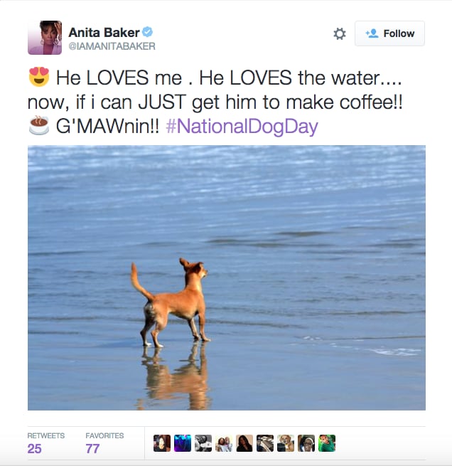 Tweets From National Dog Day 2015