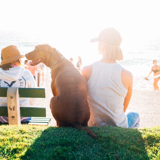Beach Playlist