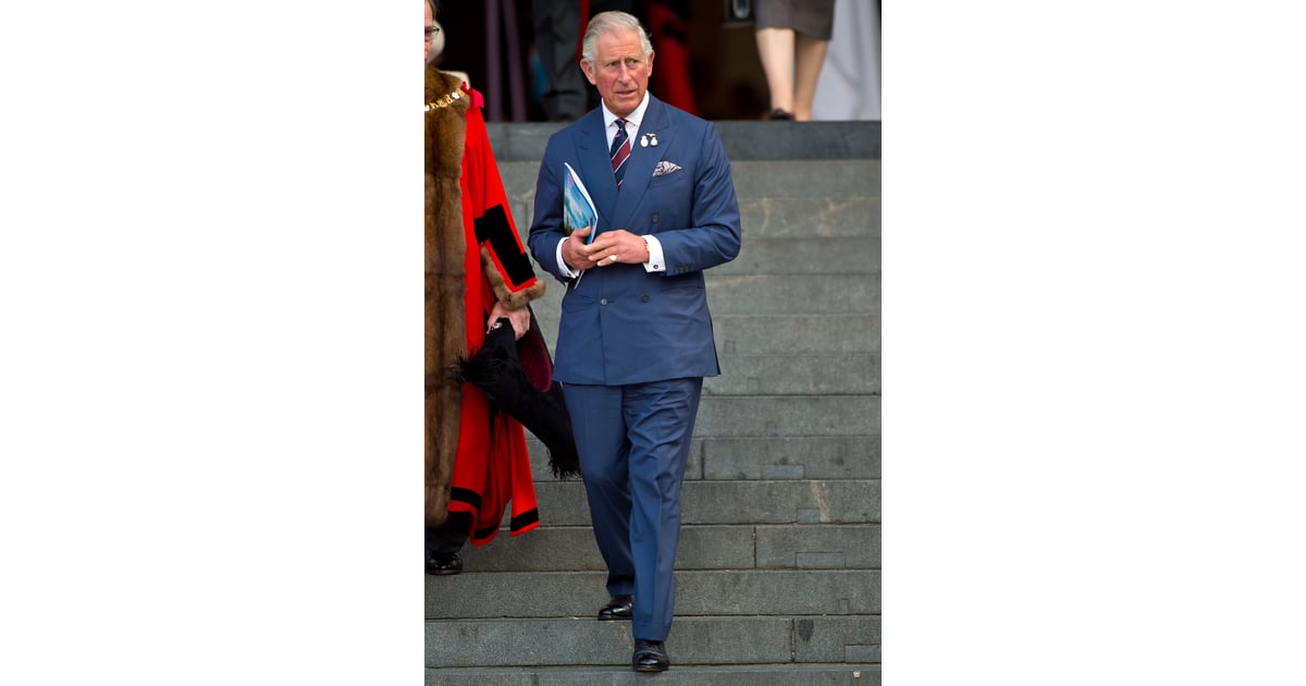 Prince Charles Net Worth 100 Million How Rich Are the British