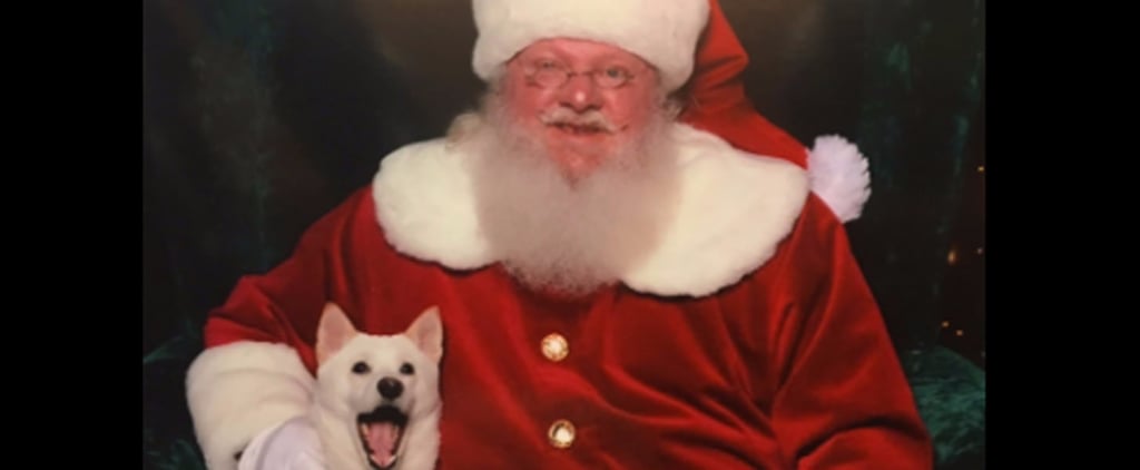Dog Meets Santa | Twitter