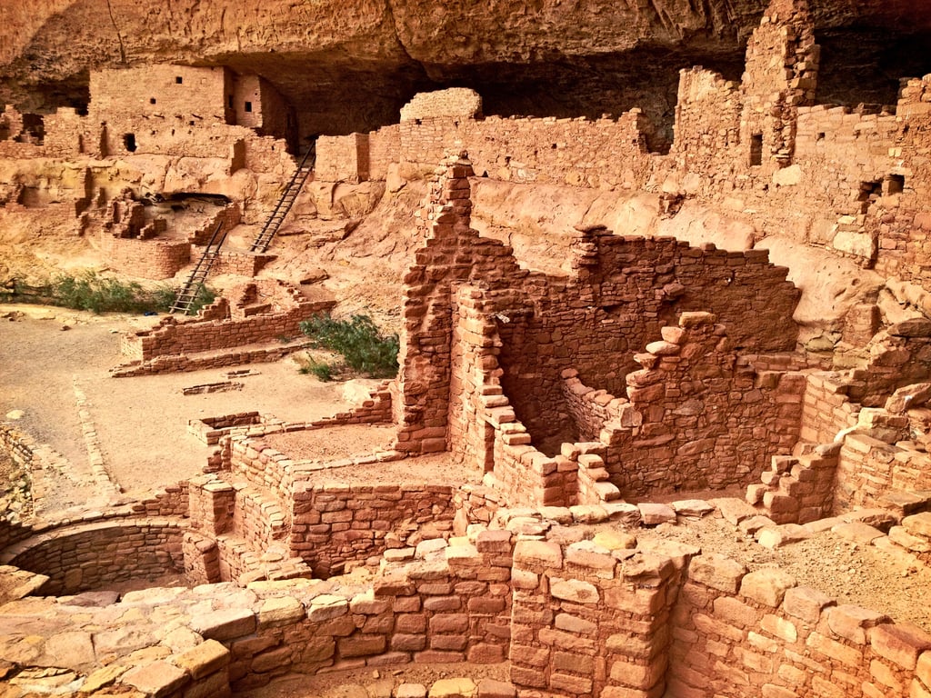 Volunteer at an archaeological dig.