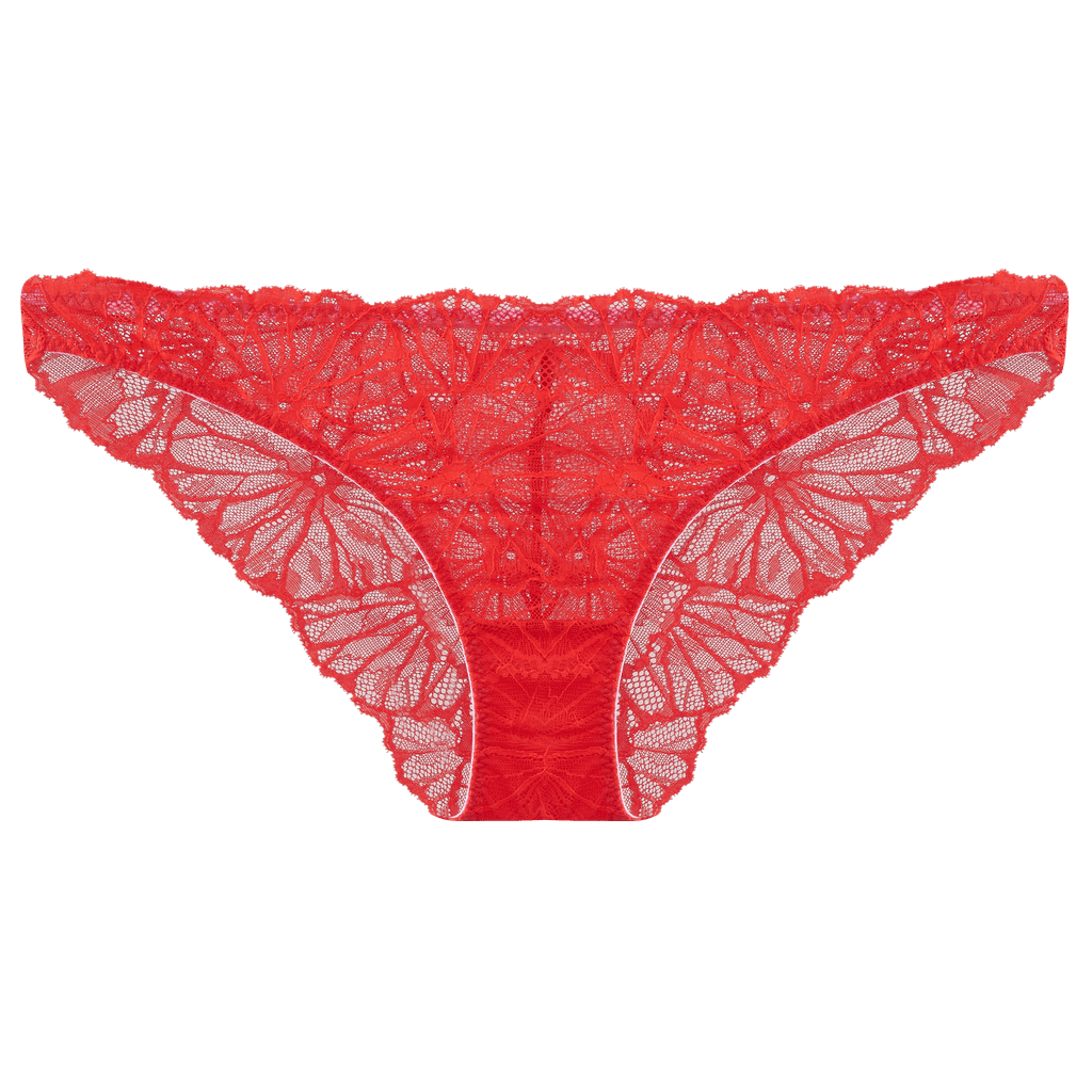 Dora Larsen Alma Graphic Lace Knicker