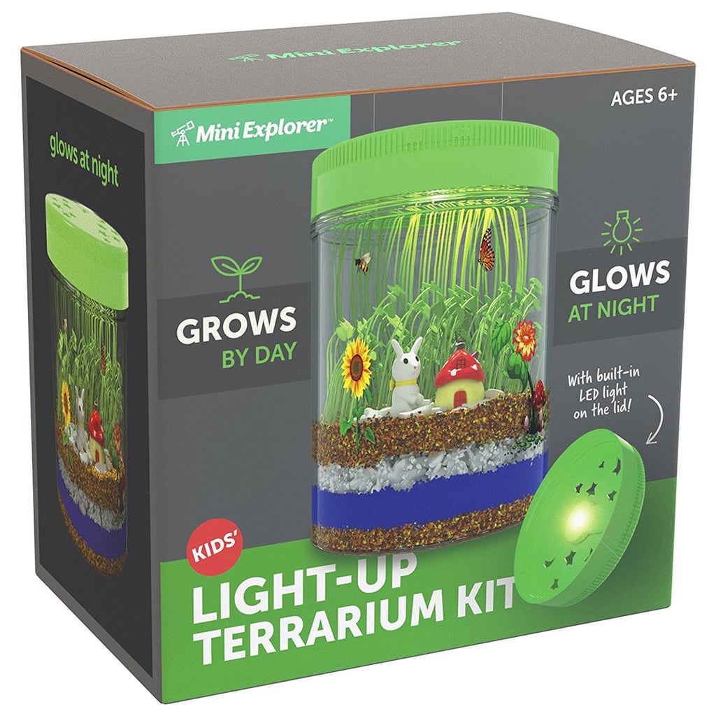 Mini Explorer Light Up Terrarium Kit