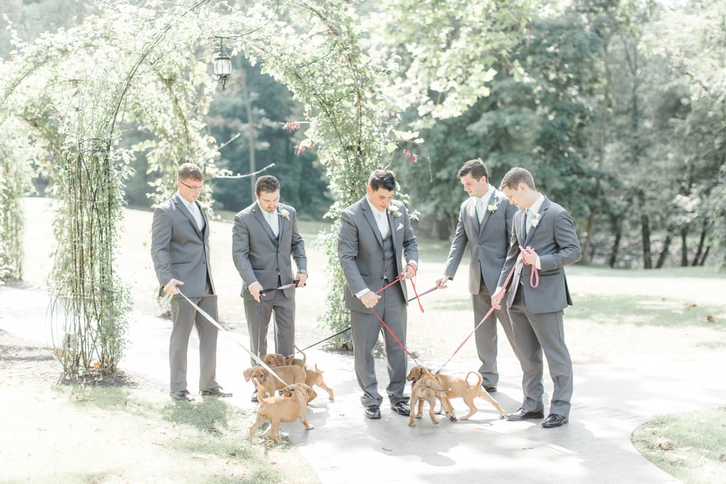 Bride Uses Puppies in Wedding Photos