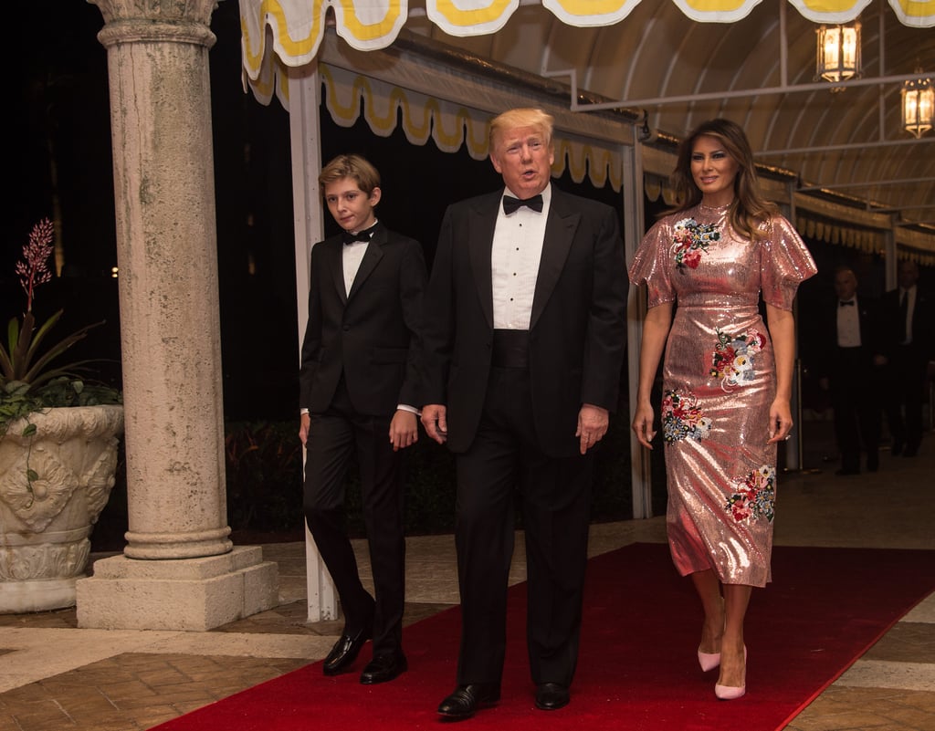 Melania Trump Erdem Dress on New Year's Eve
