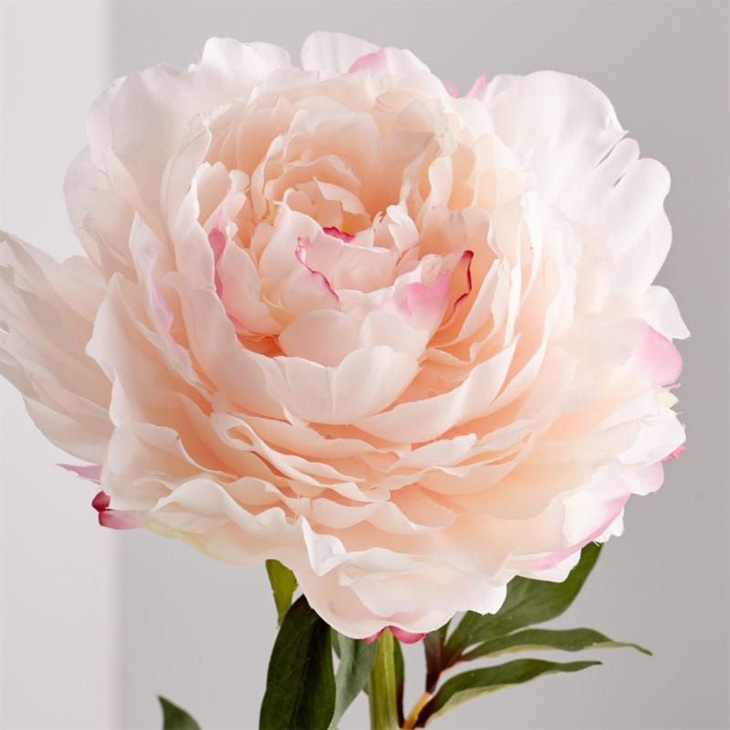 House Tyrell: Artificial Pink Peony Flower Stem
