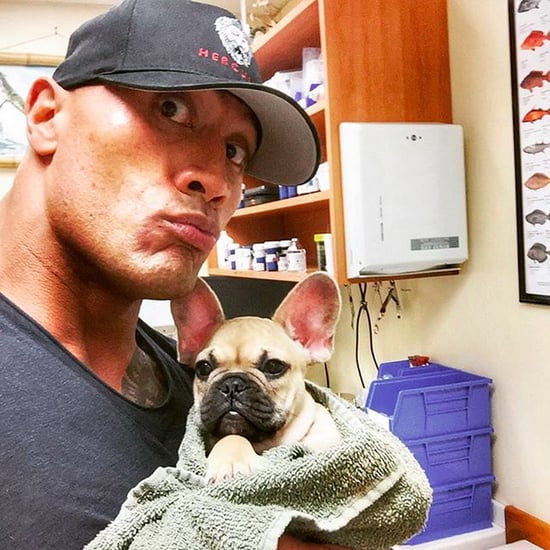 The Rock Rescuing Puppies on Instagram