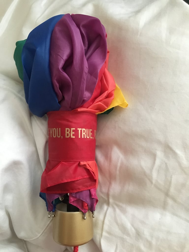 Dad Gives Daughter a Rainbow Umbrella