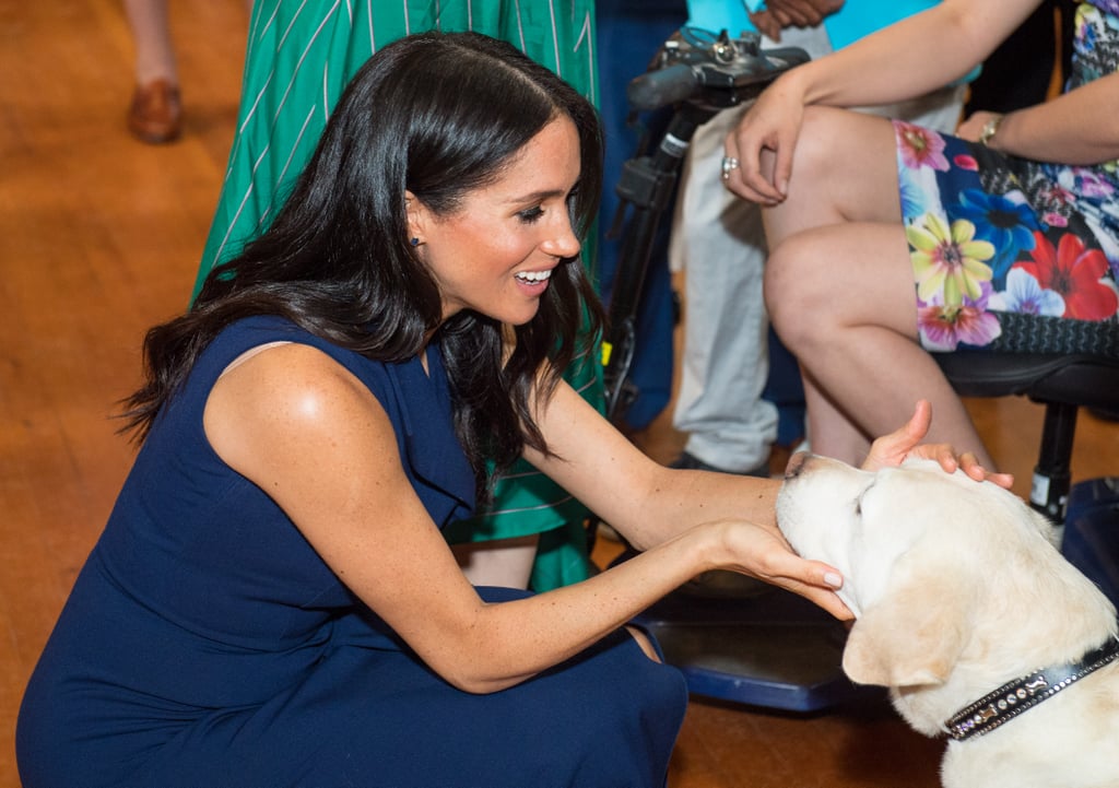 Meghan Markle With Animals Pictures