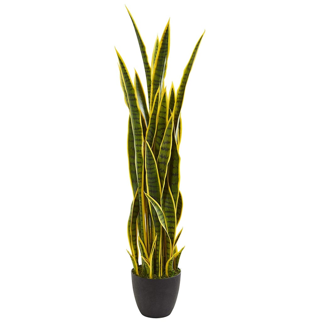 Nearly Natural Sansevieria
