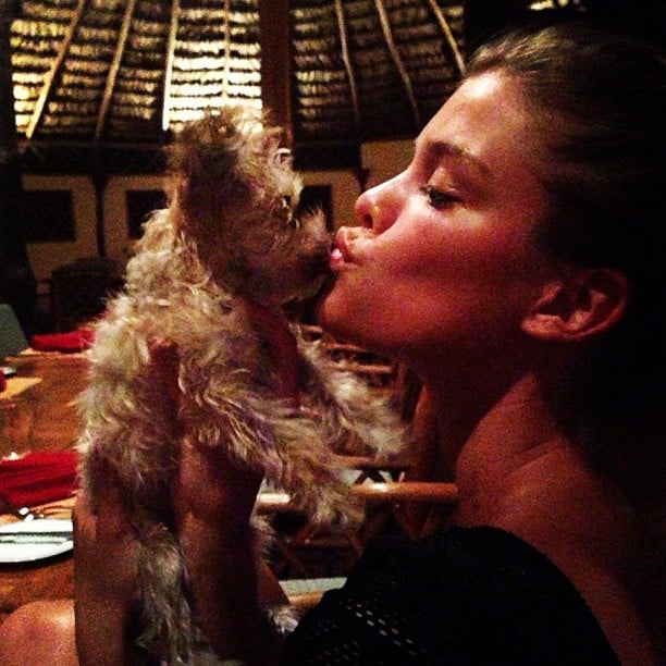 Nina Agdal doesn't shy away from bringing her little dog to dinner.
Source: Instagram user ninaagdal
