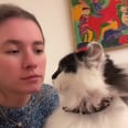 The Latest TikTok Challenge Requires Humans to Kiss Their Pets' Heads, and the Reactions Are Gold