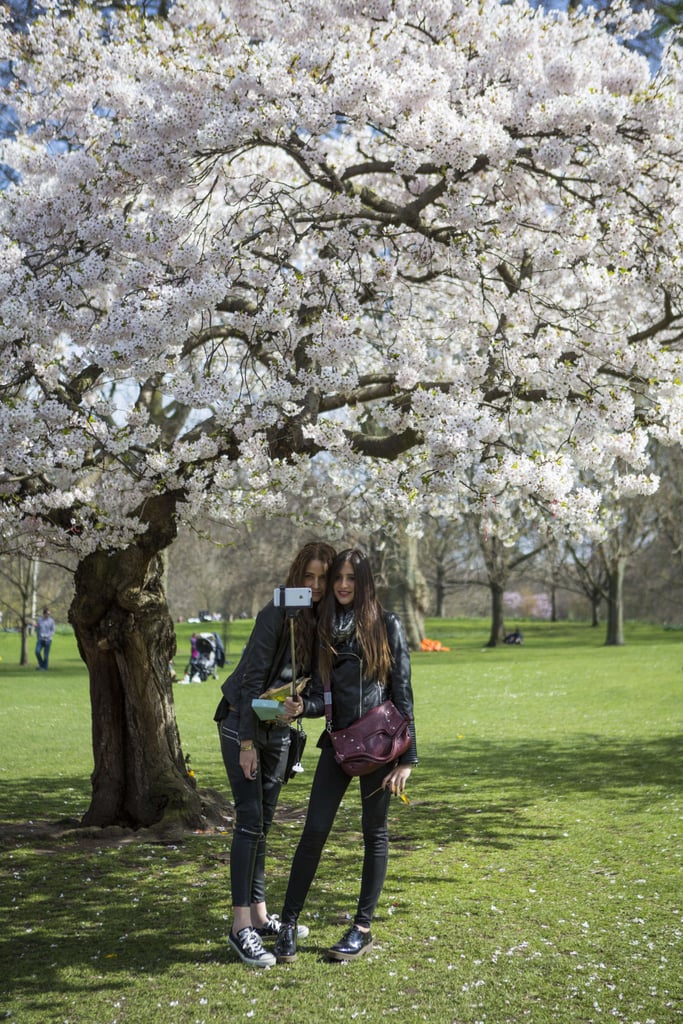 Pictures of England's Bank Holiday April 2015