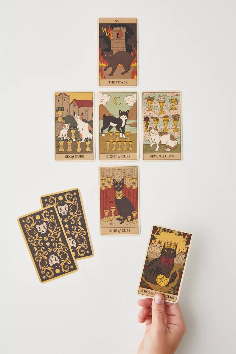 For the Psychic: Cats Rule the Earth Tarot: 78-Card Deck and Guidebook