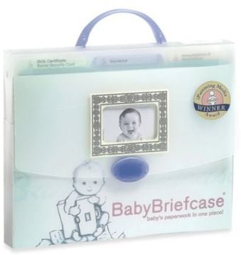 BabyBriefcase Baby Paperwork Organizer