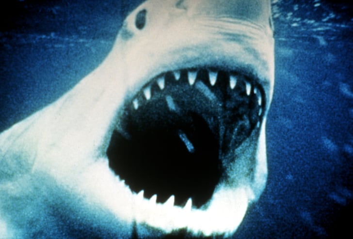 Jaws | Horror Movies Nominated for Oscars | POPSUGAR Entertainment Photo 5