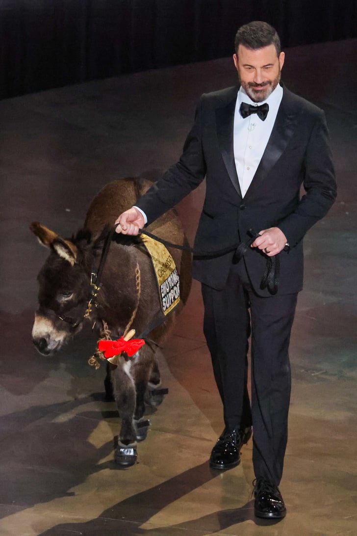 Jenny, the Banshees of Inisherin Donkey, at the 2023 Oscars POPSUGAR