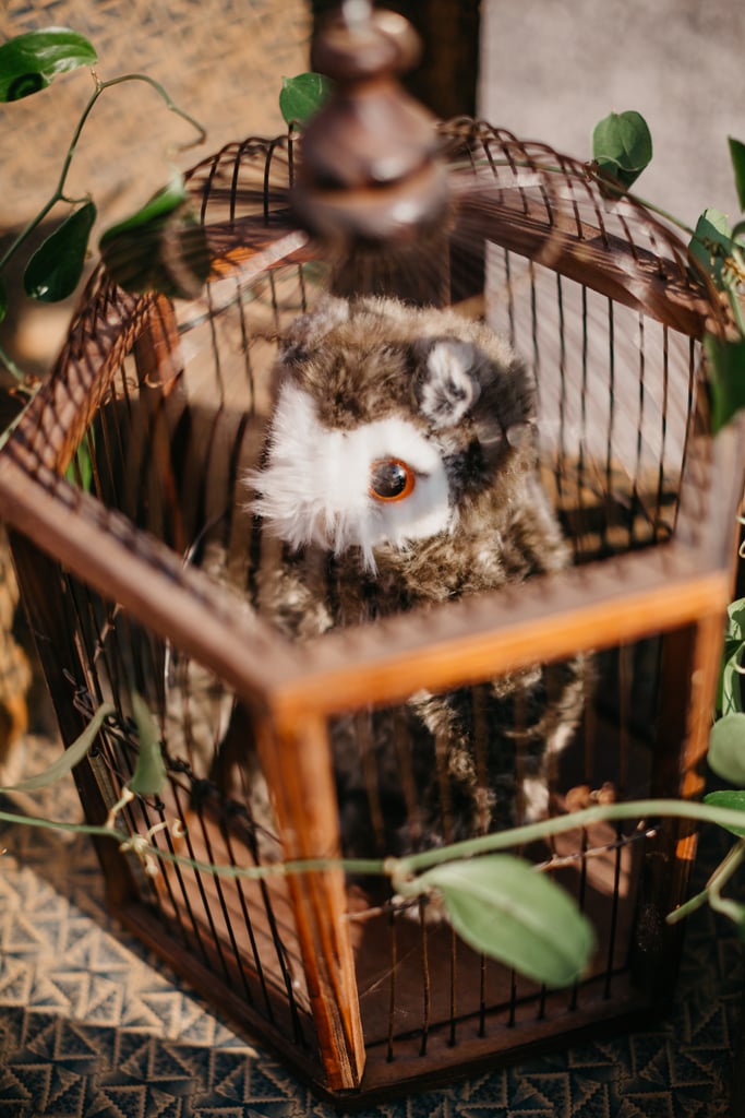 Backyard Harry Potter Wedding