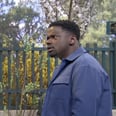Daniel Kaluuya Yelling at a Dog Park Pretty Much Sums Up the Chaos of His SNL Episode