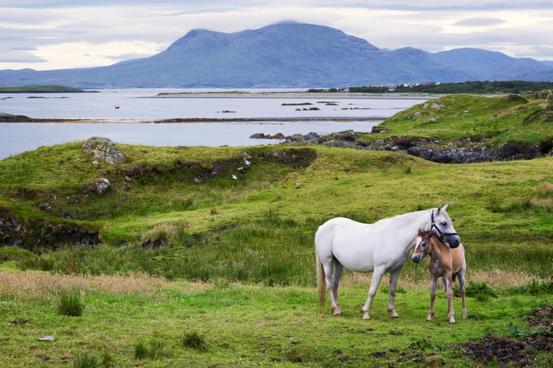 Connemara