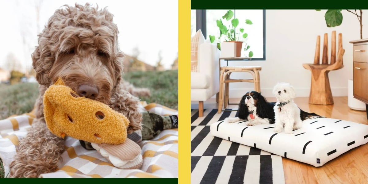 12 Gifts Any Dog Parent Would Love, From Toys to Beds