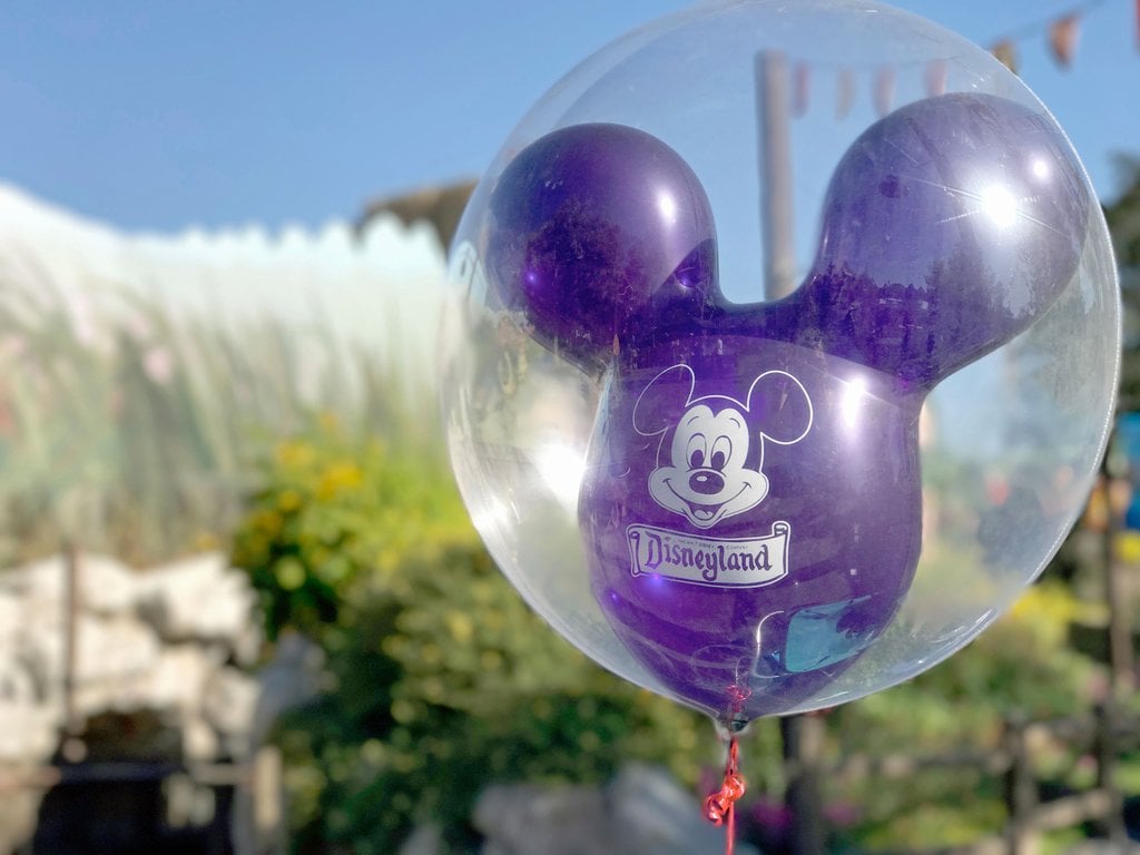 You have been to Disneyland a million times; it's a vacation staple.