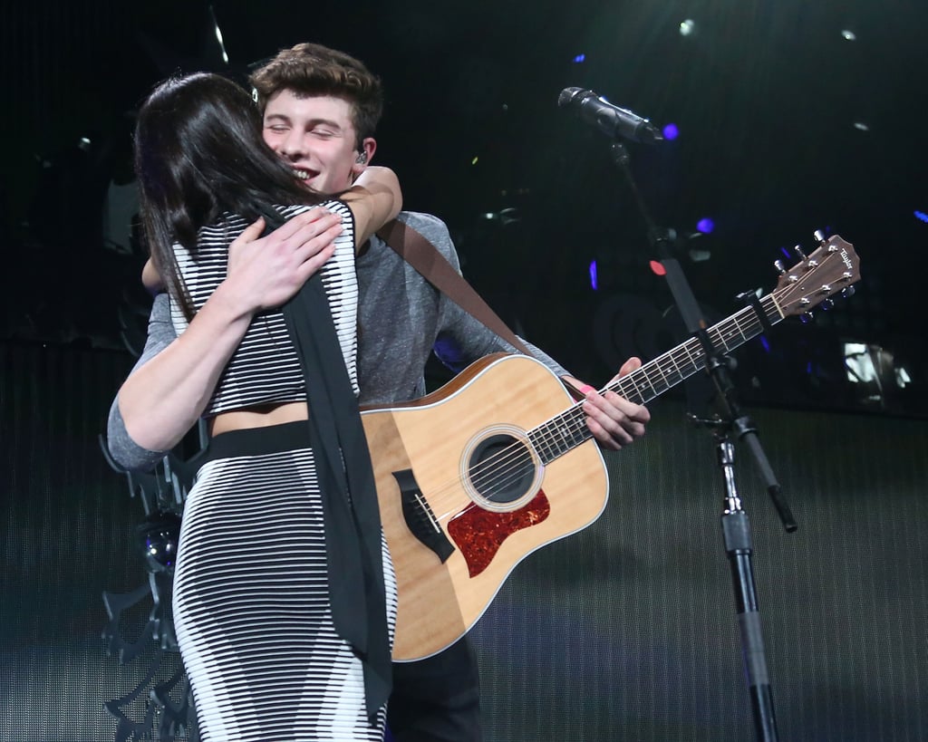 Camila Cabello and Shawn Mendes's Cutest Pictures