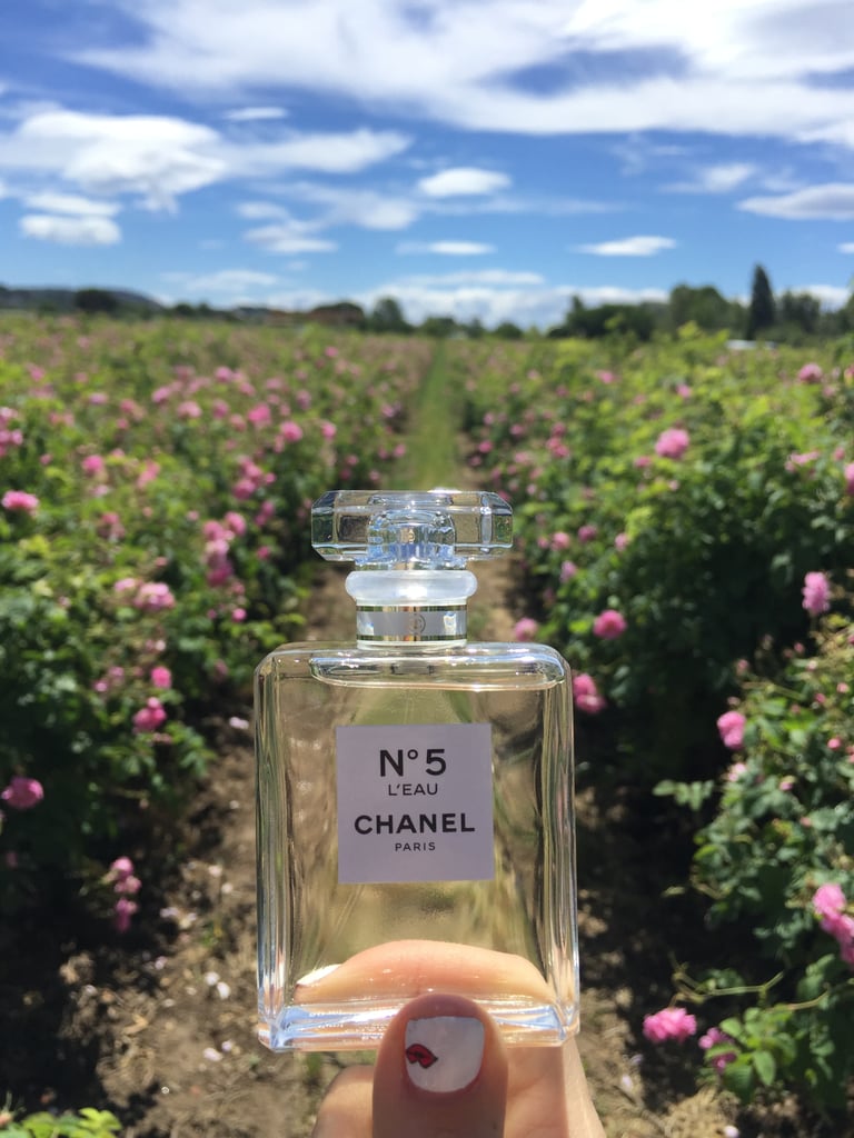 Chanel No. 5 L'eau POPSUGAR Beauty Australia