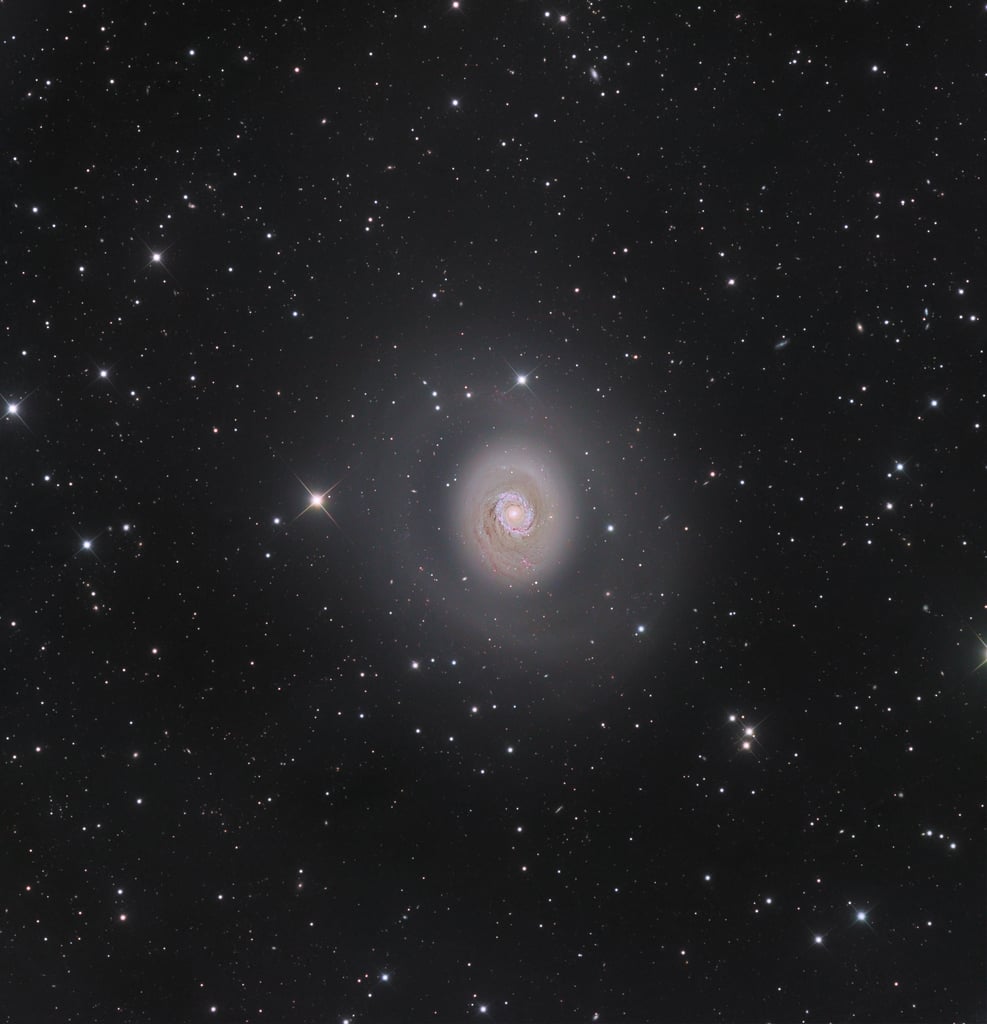 Galaxies Winner: M94: Deep Space Halo