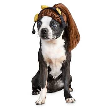 Ariana grande dog costume on sale