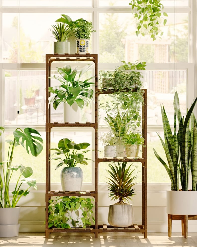 Great For Storage: 6-Tiered Plant Stand Rack