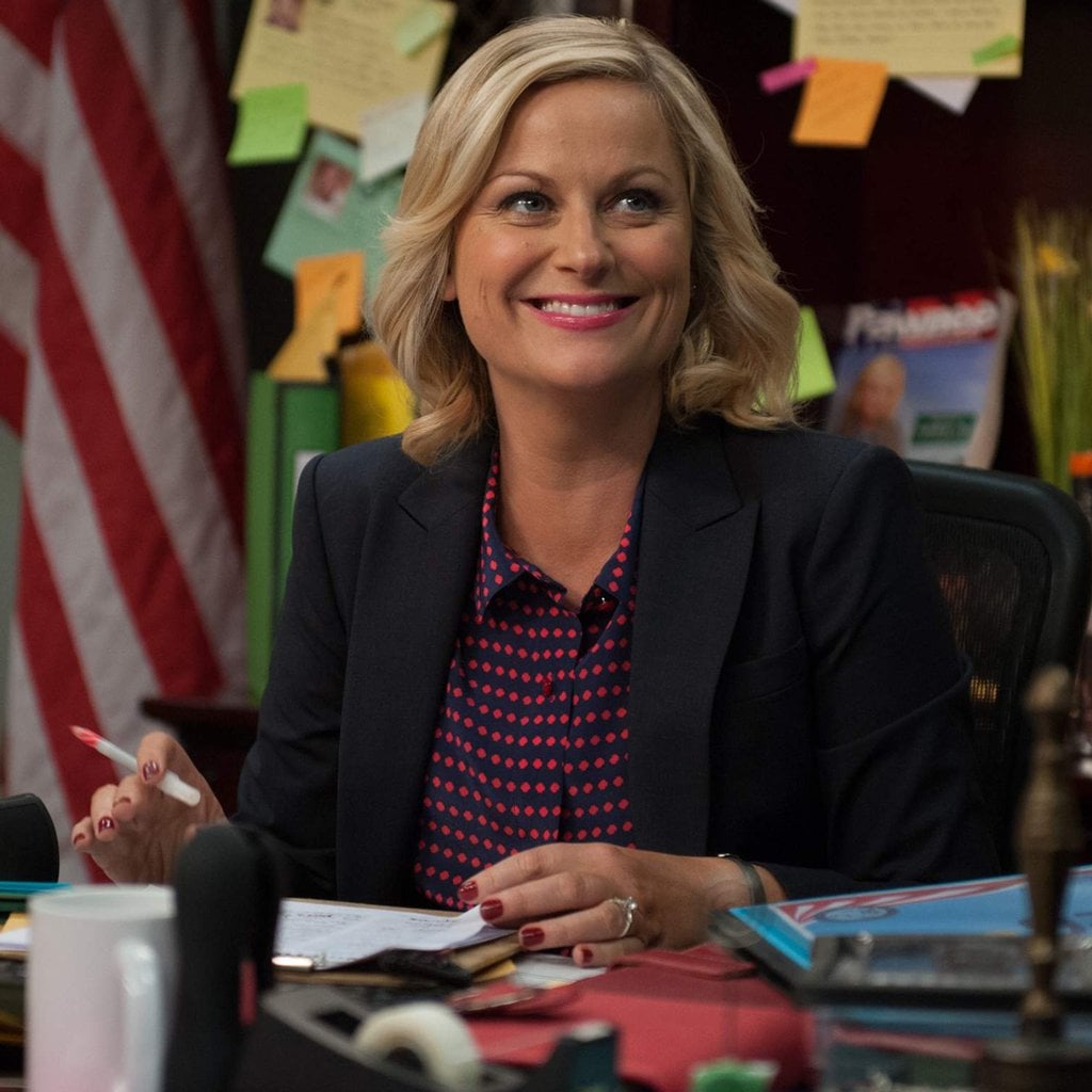 Leslie Knope Parks And Recreation Job Deputy Director Pawnee City