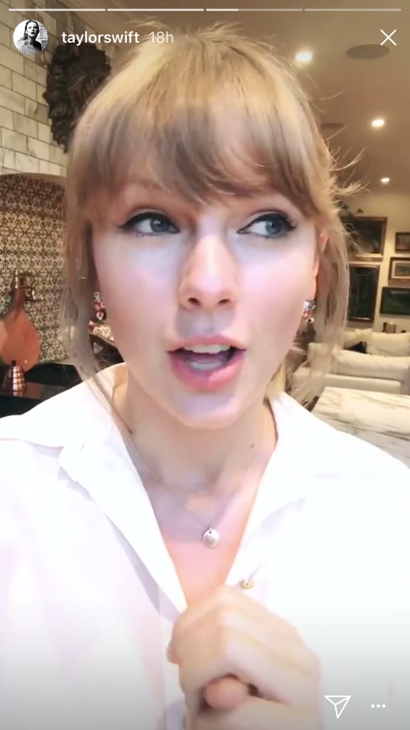 Taylor Swift's Cat Earrings