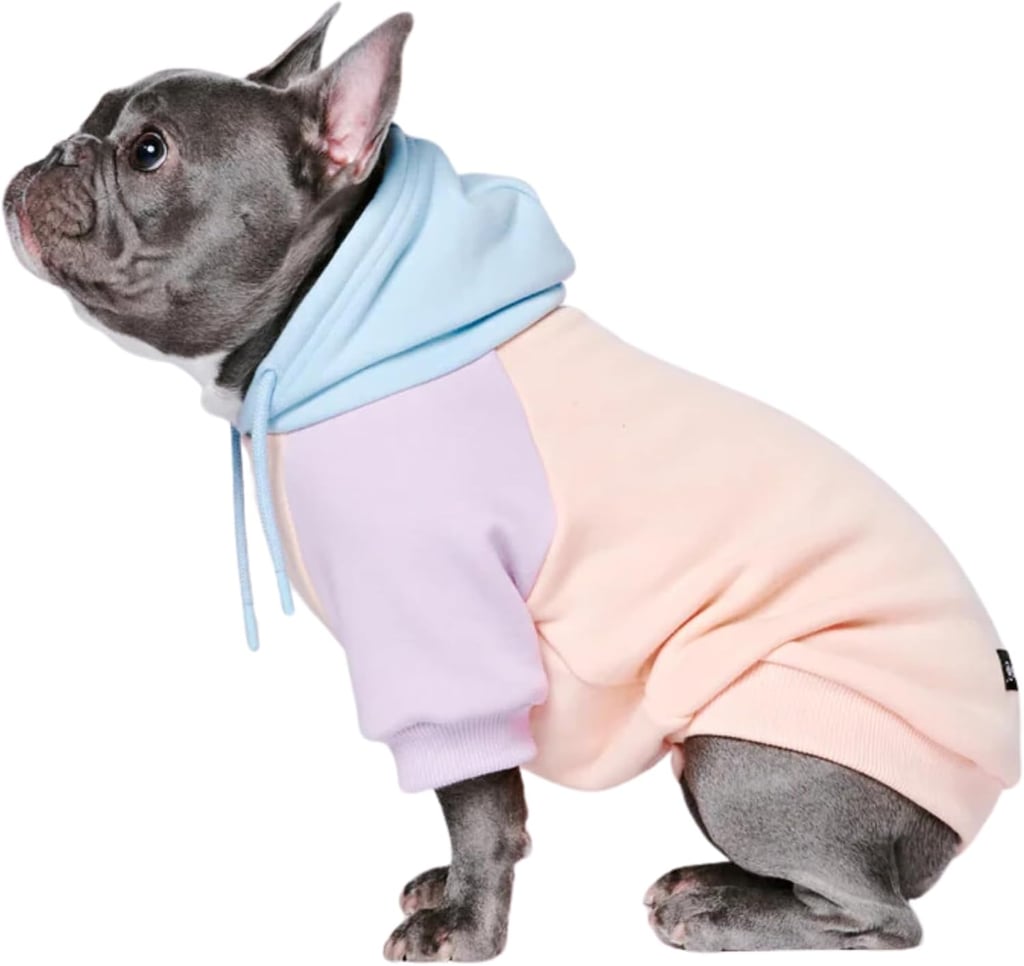 Spark Paws Dog Hoodie