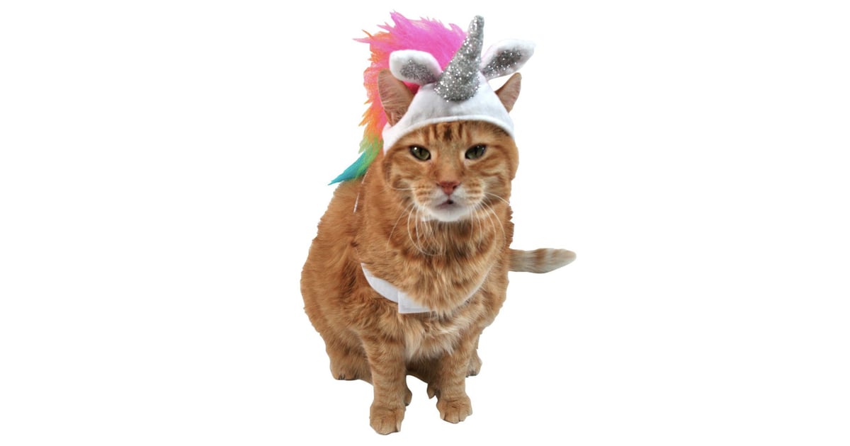 Unicorn Cat Costume These 11 Hilarious Pet Costumes Are So