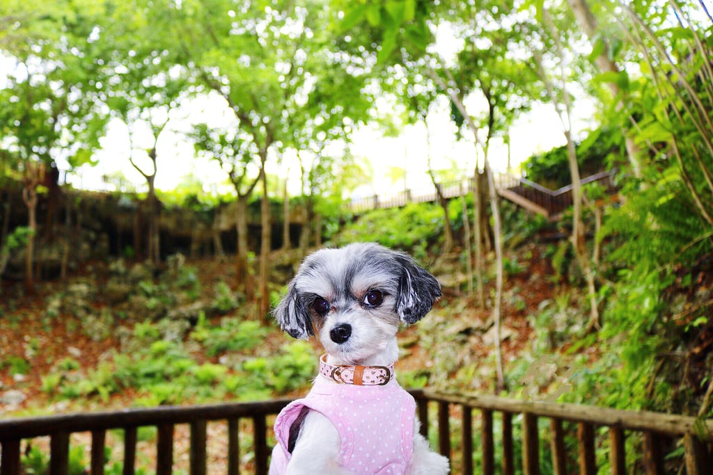 The Garden of Eden Roc was a beautiful sanctuary, but honestly nothing's as beautiful as moi!