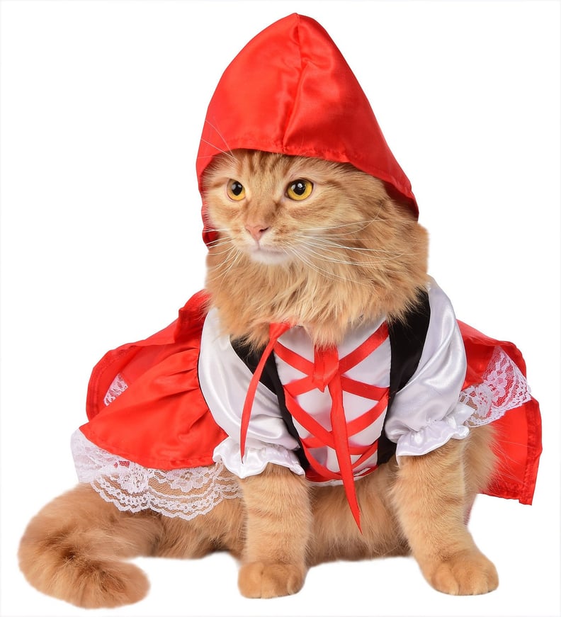 Red Riding Hood Cat Costume