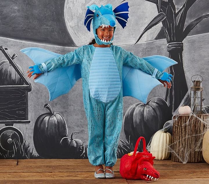 Blue Dragon Costume