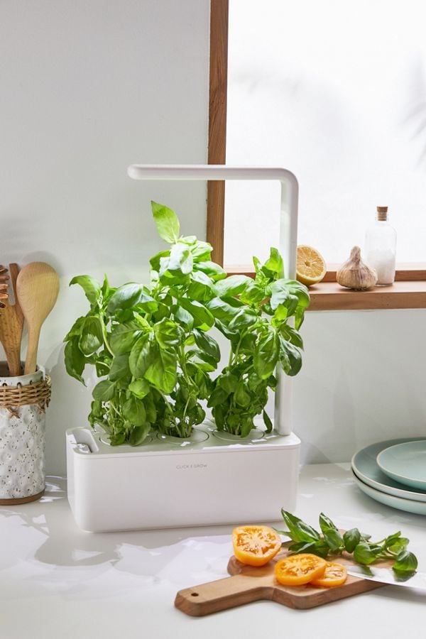 Click & Grow Smart Herb Garden 3 Starter Kit The Best Dorm Products From Urban Outfitters