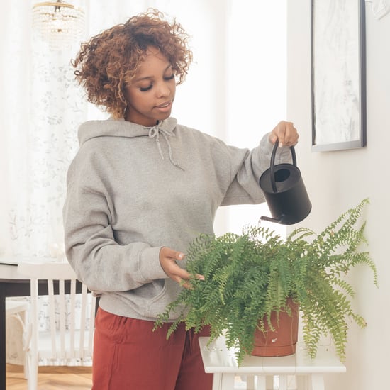 Therapist Mental Health TikTok "Treat Yourself Like a Plant"