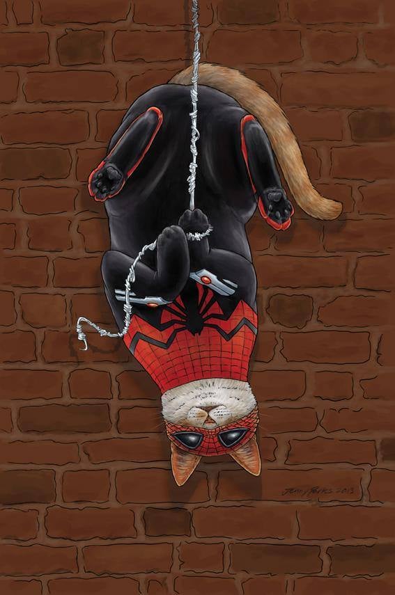 Spider-Man (Cat)