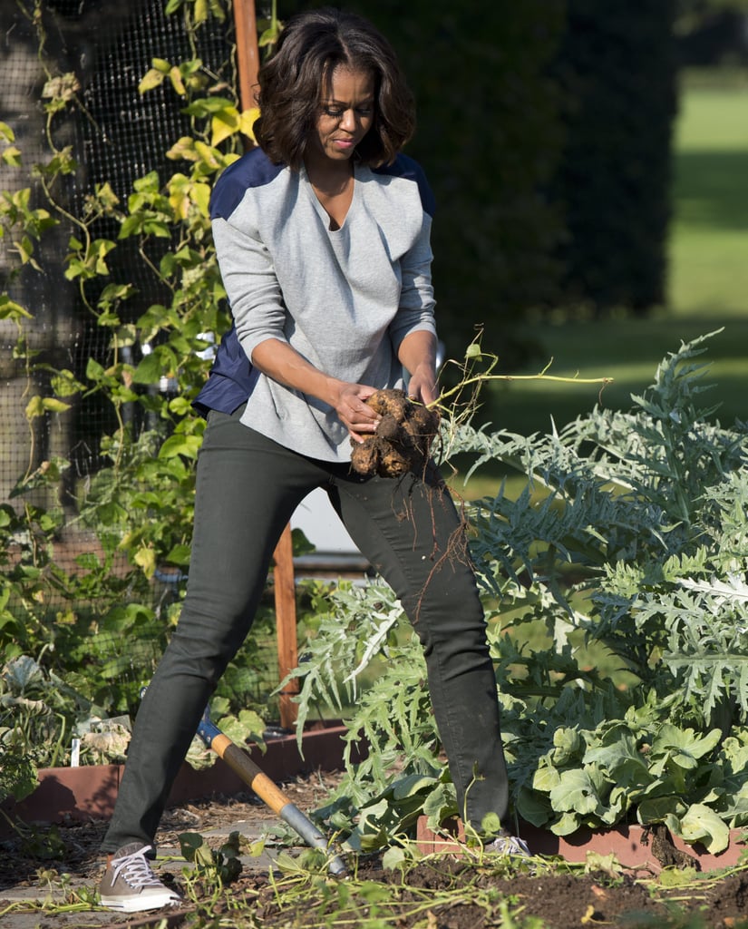 Michelle's khaki-colored All Star Converse play up her casual basics, like the two-tone sweater and jeans she wore in the White House Kitchen Garden in October 2013.