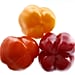 Which Bell Pepper Is Sweetest?