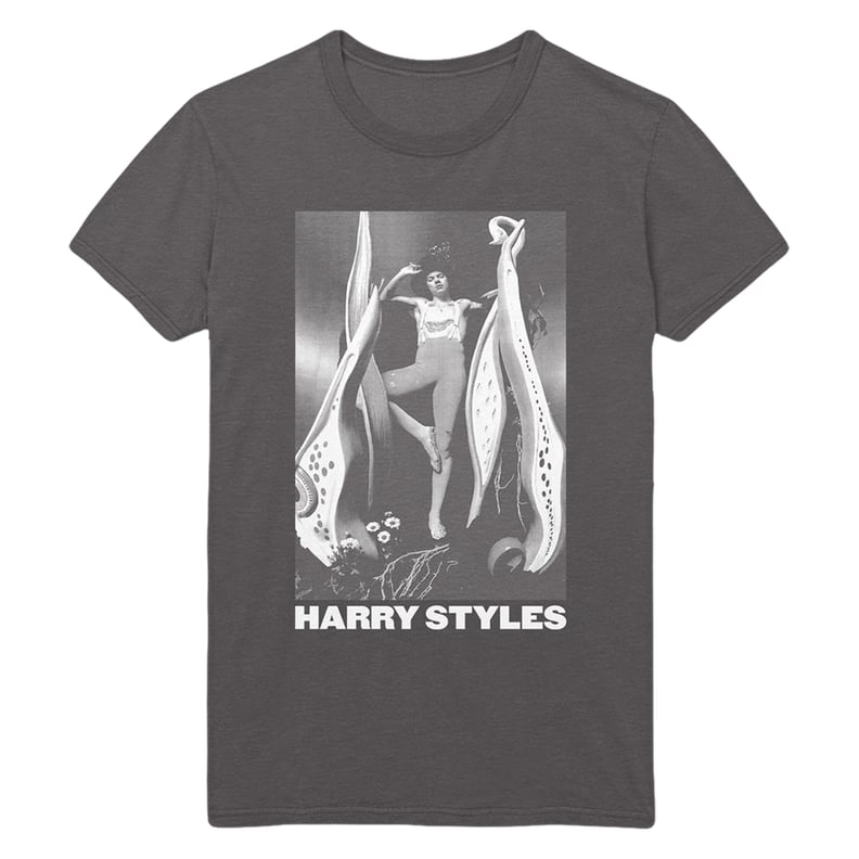 Shop Harry Styles Merchandise