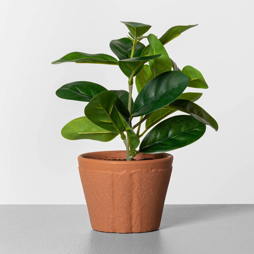 Faux Lemon Plant