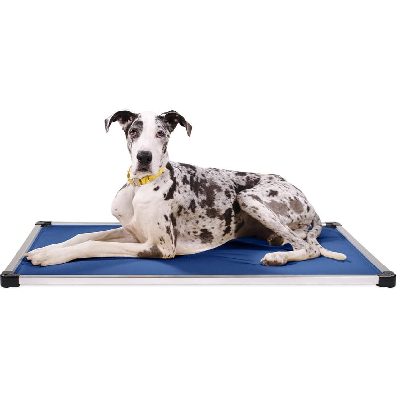 Best Chew-Proof Dog Bed