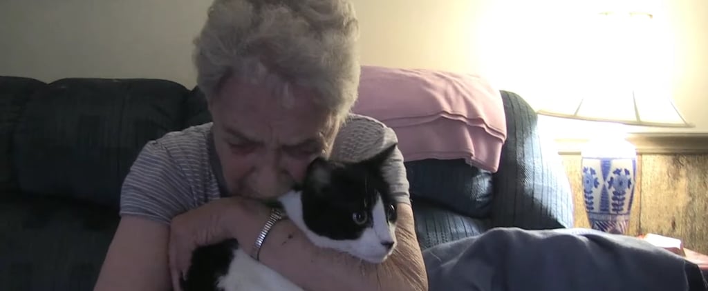 Sick Cat Makes Miracle Recovery